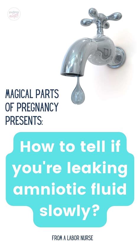 symptoms of leaking amniotic fluid|Leaking Amniotic Fluid: How to Tell